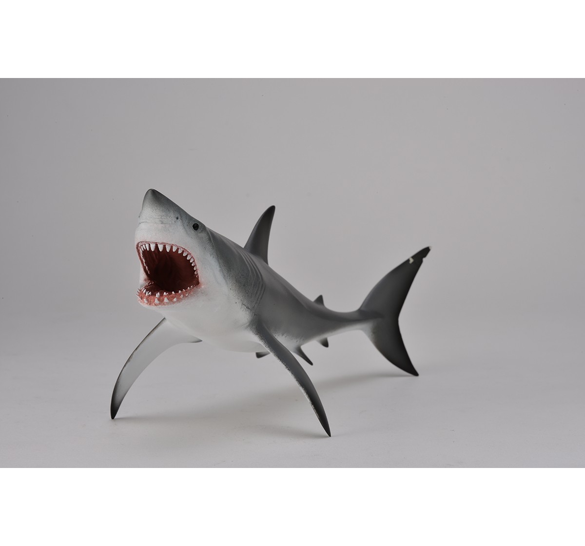 Collecta Great White Shark with Open Jaw Animal Figure for Kids age 3Y+ 