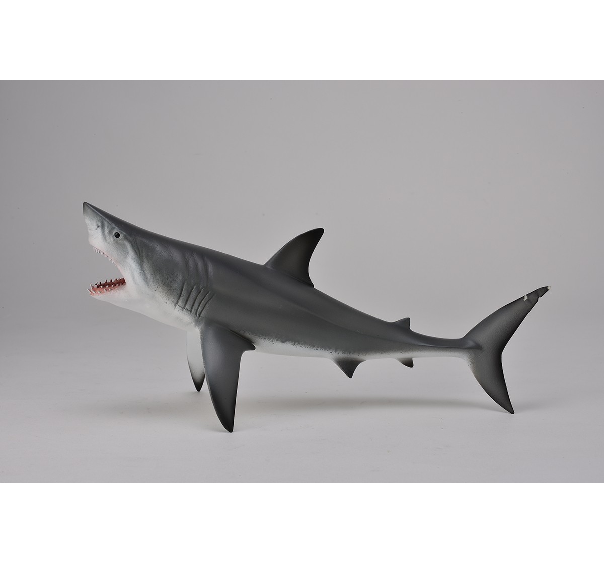 Collecta Great White Shark with Open Jaw Animal Figure for Kids age 3Y+ 
