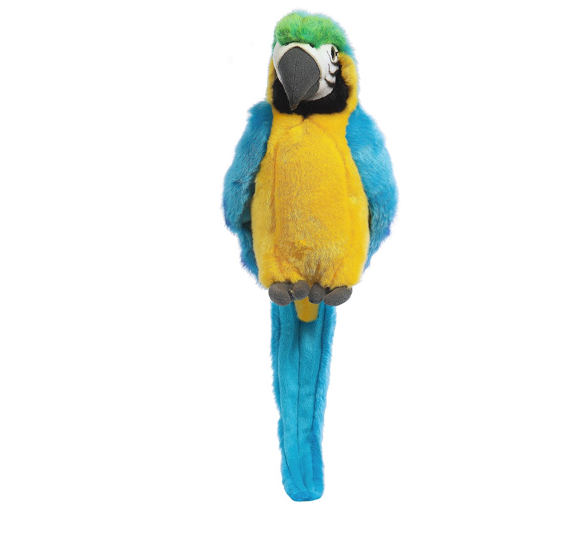  Hamleys Pepper Blue Parrot Soft Toy, Multi Color (5-Inch) Animals & Birds for Kids age 3Y+ - 12 Cm 