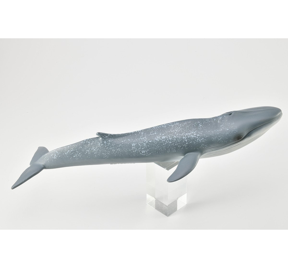 Collecta Blue Whale Animal Figure for Kids age 3Y+ 