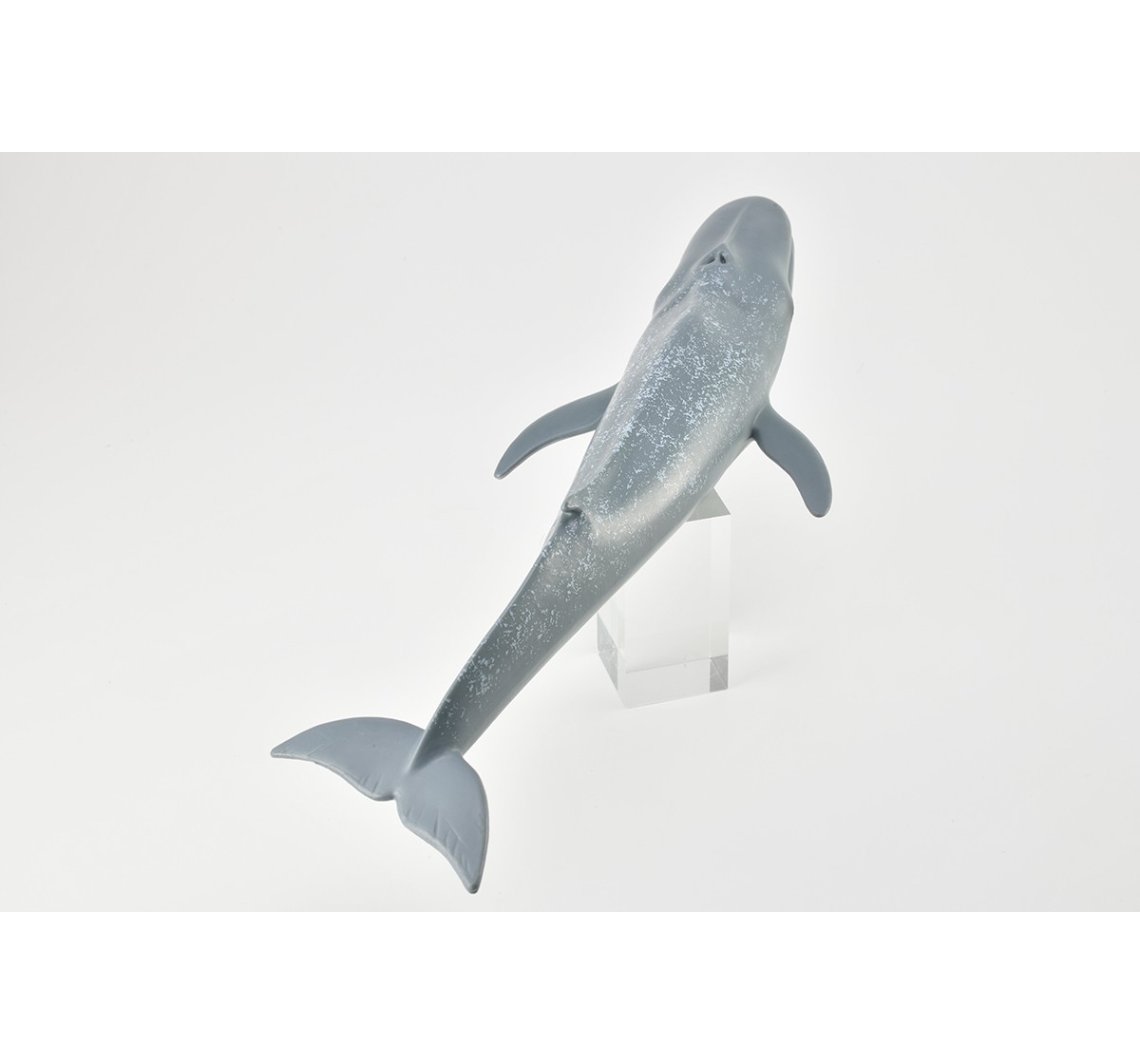 Collecta Blue Whale Animal Figure for Kids age 3Y+ 