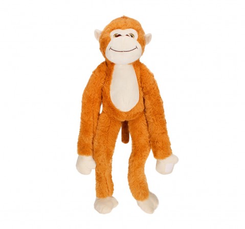 Fuzzbuzz Monkey Animal Plush - Grey - 71Cm Quirky Soft Toys for Kids age 0M+ - 14 Cm (Grey)