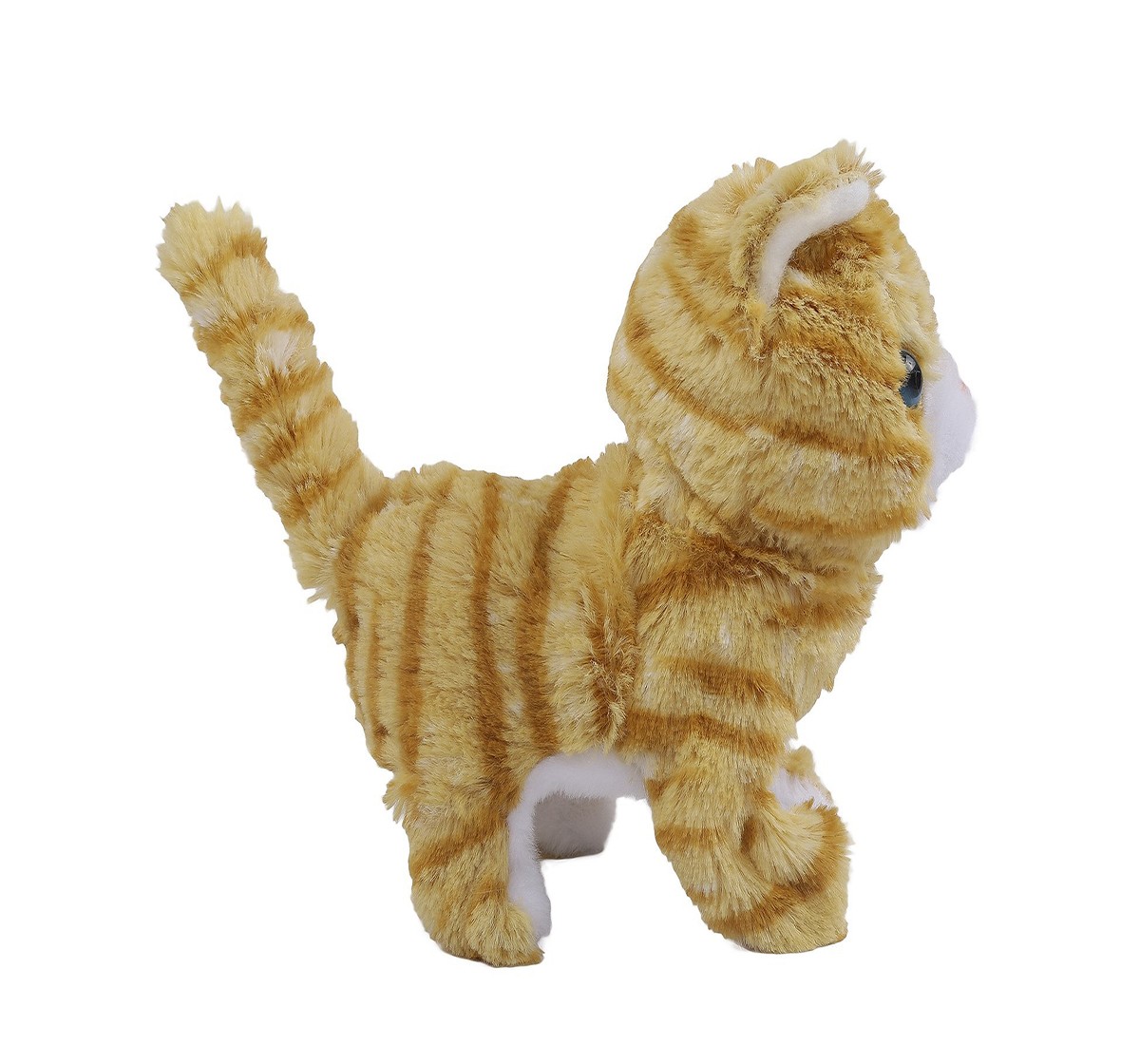 Hamleys Movers & Shakers Scottish Fold Plush Soft Cat Toy(Gold), 3Y+
