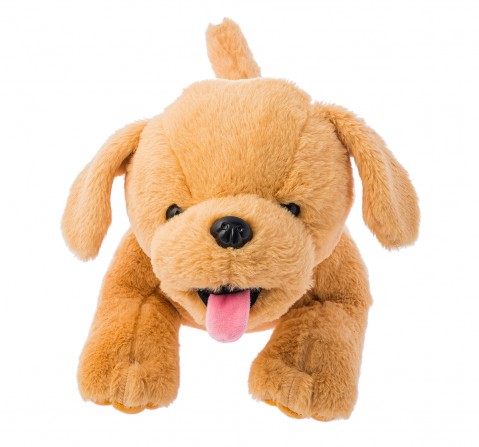 Dimpy Toys Lying Dog Dark Brown 55 Cm,  3Y+(Brown)