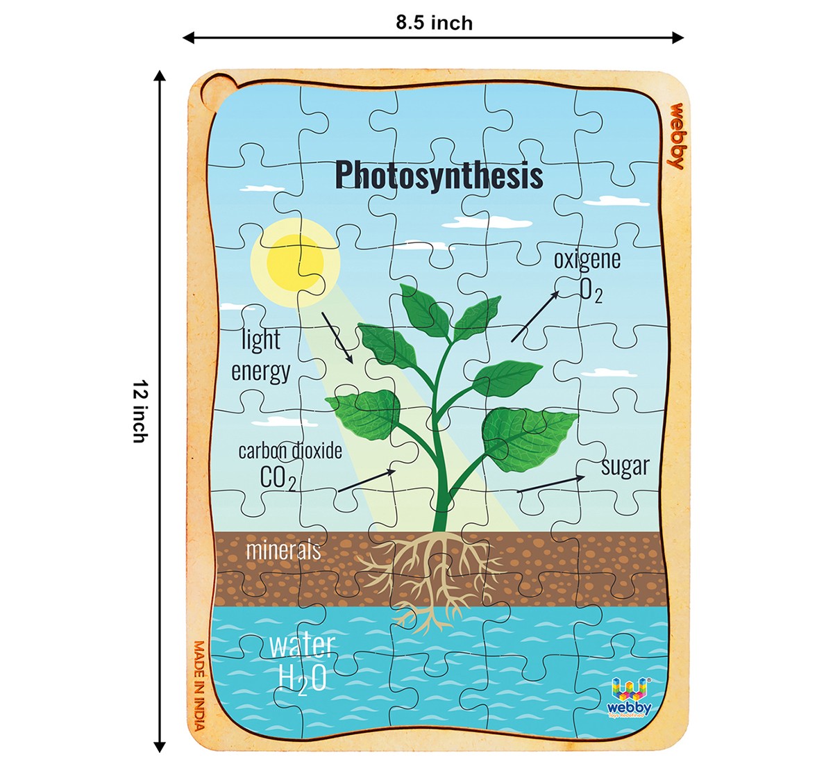 Webby Photosynthesis Wooden Puzzle 40 pcs,  3Y+ (Multicolour)