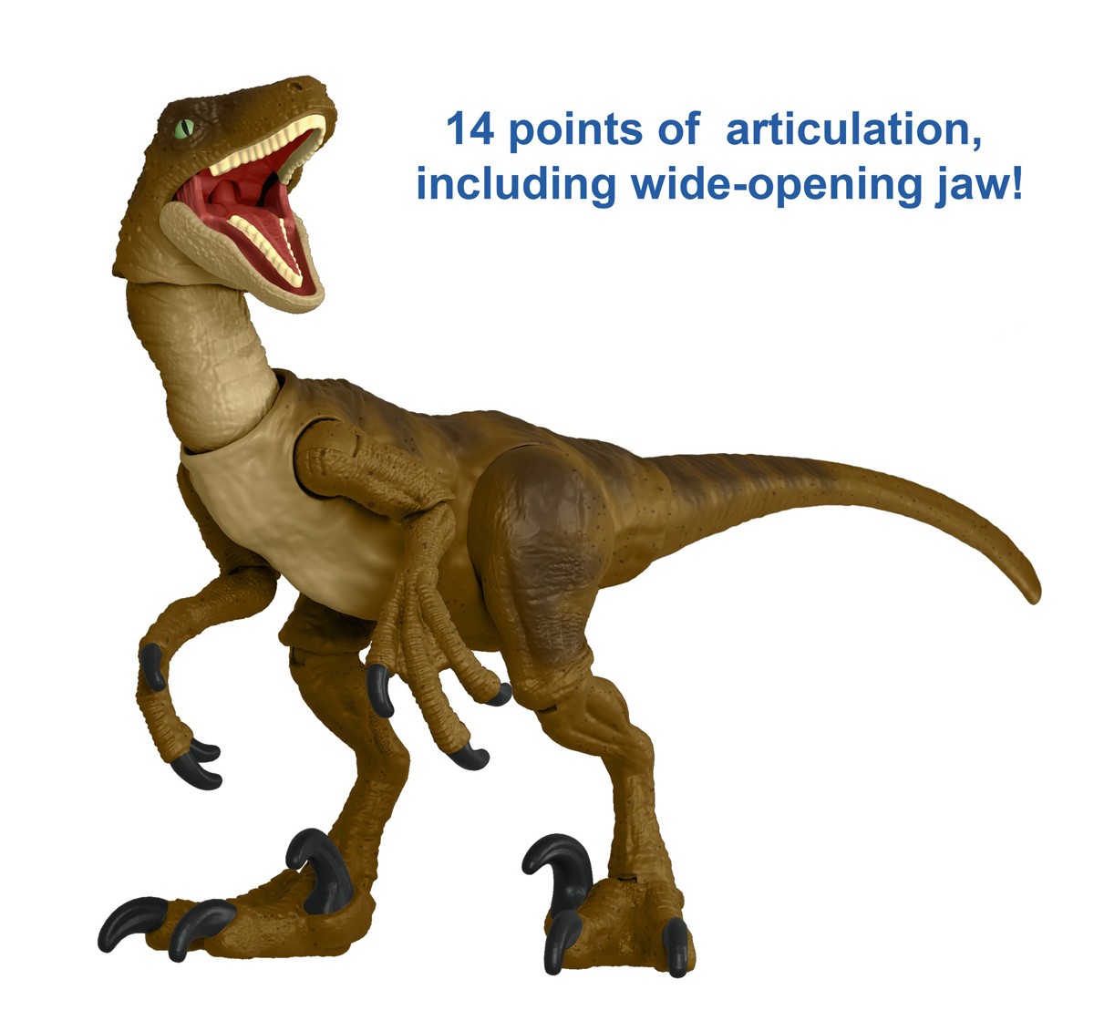Jurassic World Jurassic Park Hammond Collection Velociraptor Dinosaur Action Figure, 7.5 In Long With 14 Movable Joints, Gift And Collectible, 8Y+