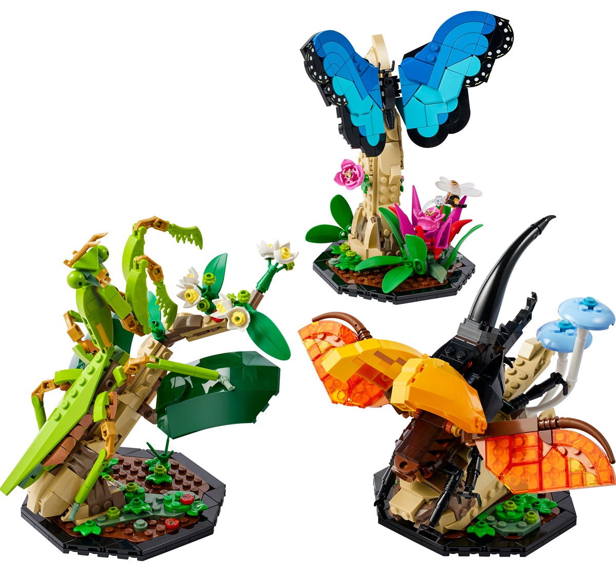 LEGO Ideas The Insect Collection 21342 Building Set for Adults (1,111 Pieces), 18Y+