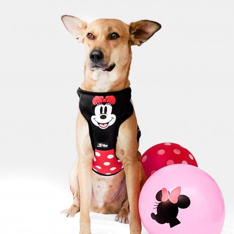 That Dog In Tuxedo Minnie Mouse Dog Mesh Harness