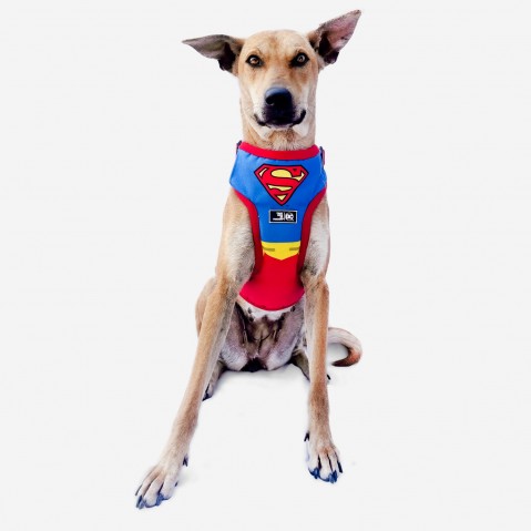 That Dog In Tuxedo DC Superman Dog Body Mesh Harness