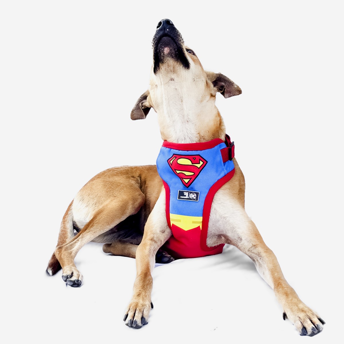 That Dog In Tuxedo DC Superman Dog Body Mesh Harness