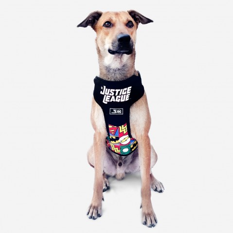 That Dog In Tuxedo DC Justice Lege Mesh Dog Harness