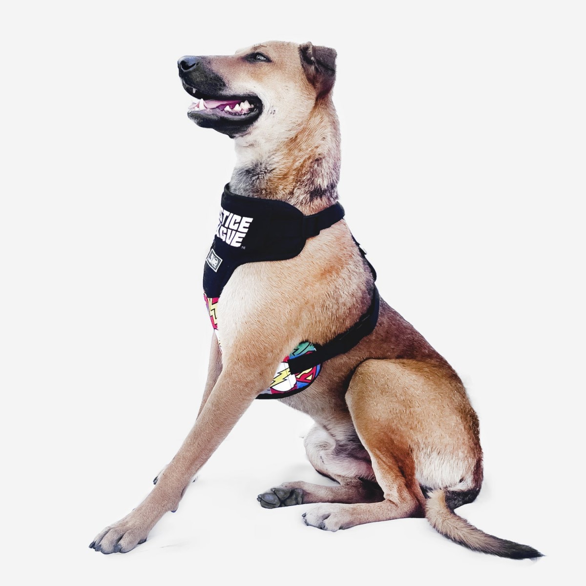 That Dog In Tuxedo DC Justice Lege Mesh Dog Harness