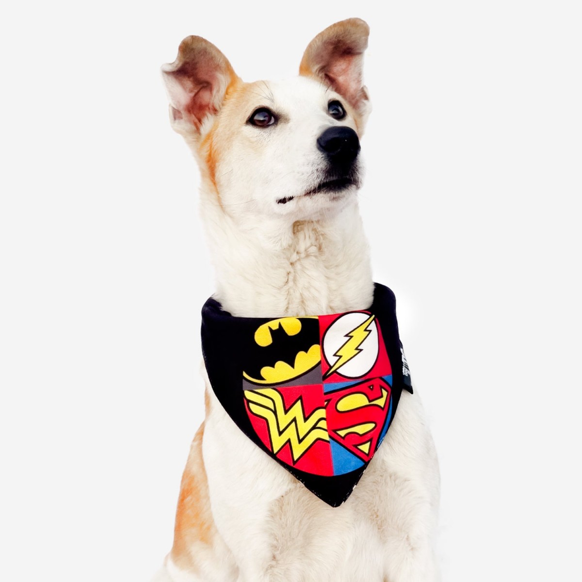 That Dog In Tuxedo DC Justice League Dog Bandana