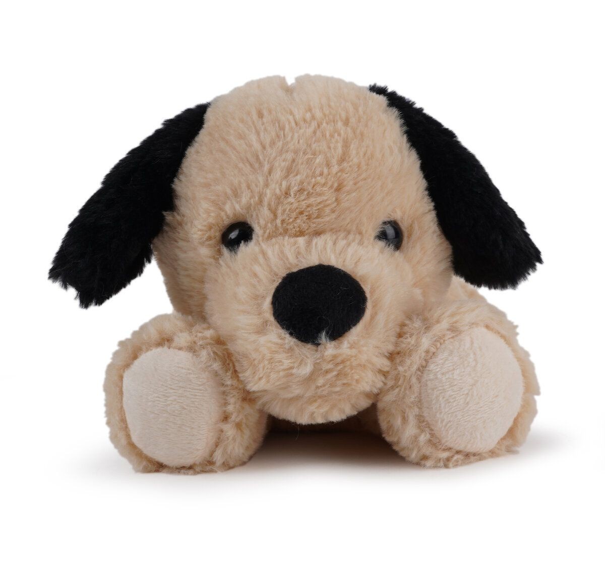 Jeannie Magic Biscuit Sleepy Puppy-Beige Soft and Cuddly Toy, 0M+