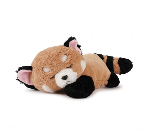 Jeannie Magic Mocha Brown Cuddle Sleepy Fox Soft Toy, 0M+